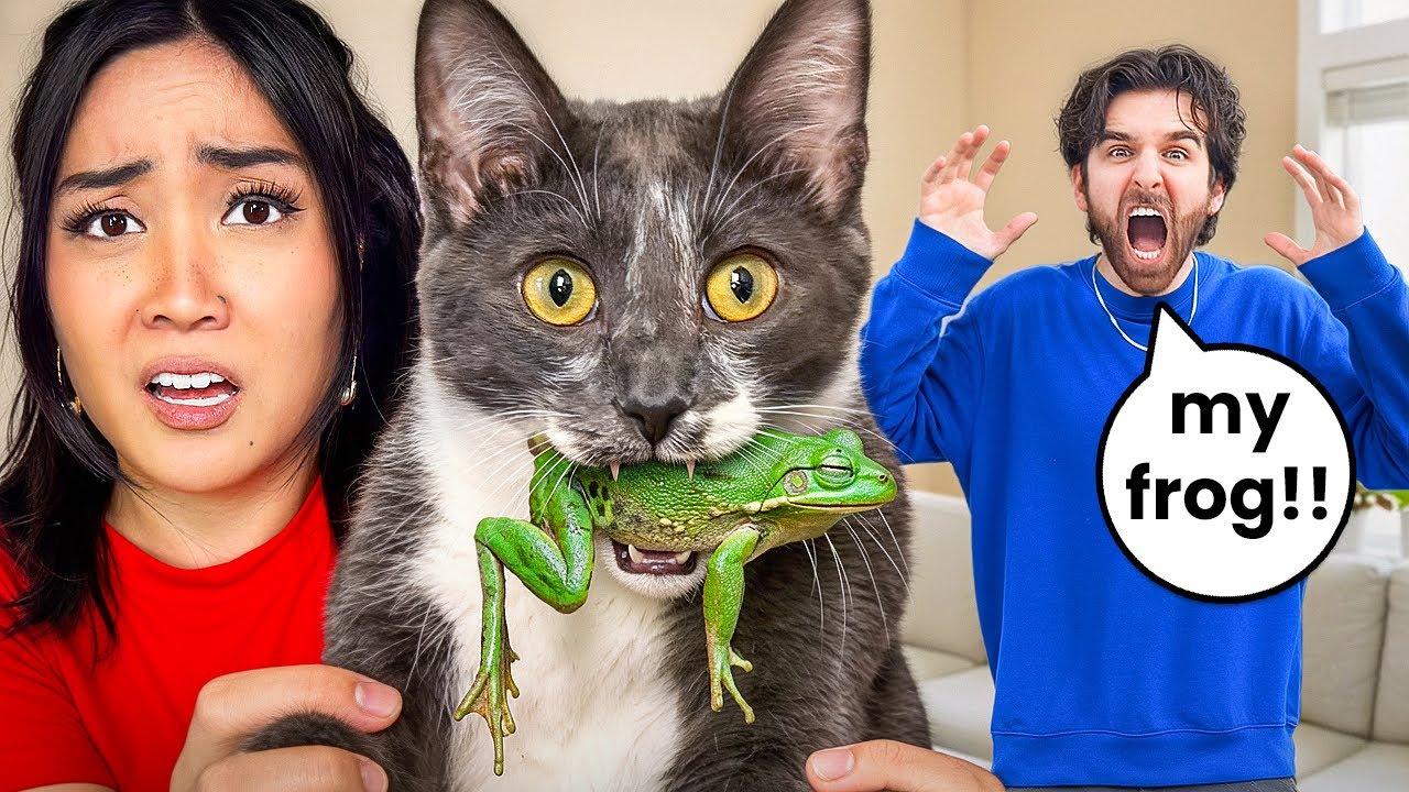My Cat ATE My Roommates Frog!