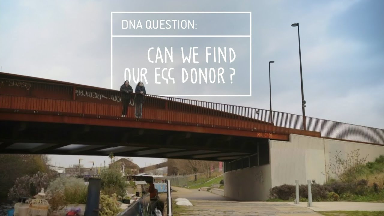 DNA Family Secrets: Can We Find Our Egg Donor?