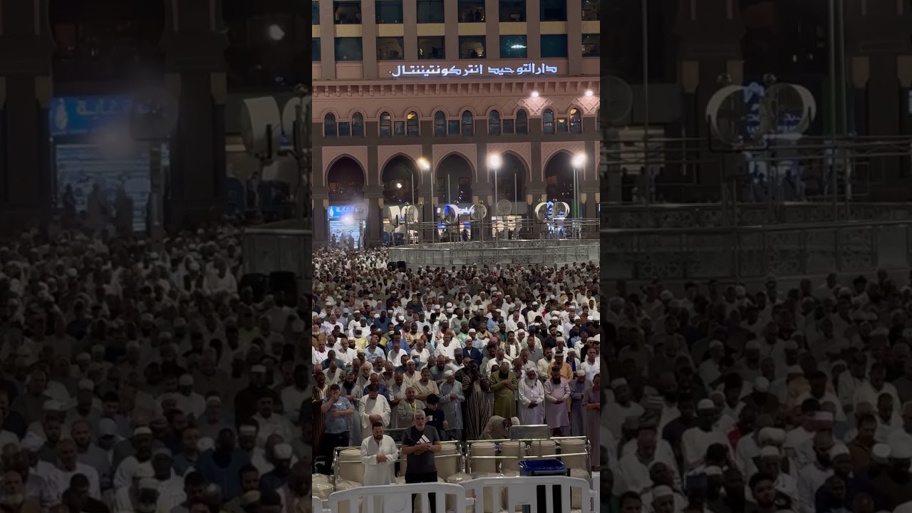 تلاوة الشيخ أ.د. ياسر الدوسري 💔 لحظات خشوع تبكي العين من تراويح ليلة 17 رمضان 1446هـ.