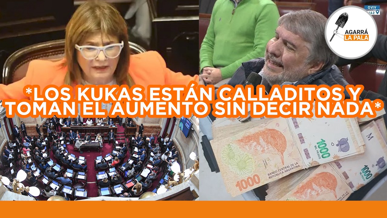 LOS SENADORES KUKAS RECIBEN EL AUMENTO EN SILENCIO Y ESTALLA UN PAPELÓN NACIONAL