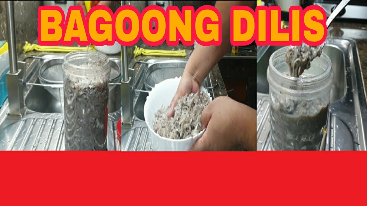 PAANO GUMAWA NG BAGOONG NA DILIS