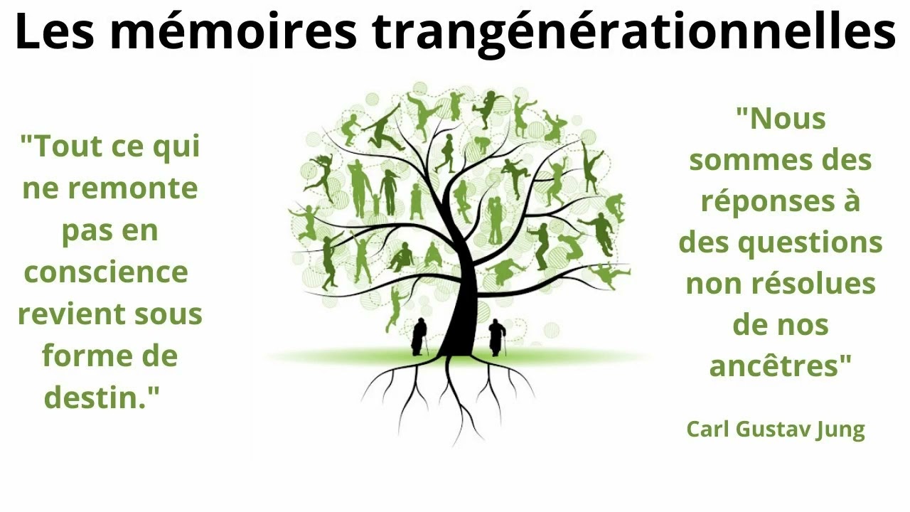 🌳Les mémoires transgénérationnelles🌳 