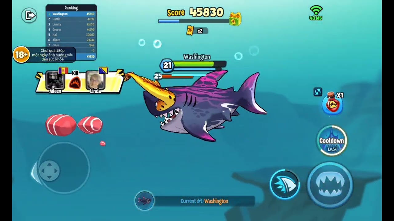 King shark but with annoying port jackson sharks