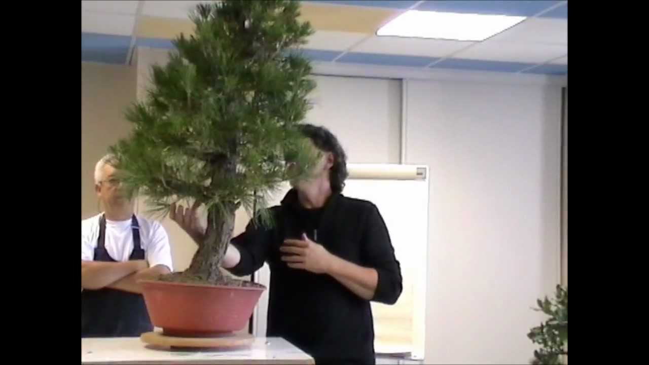 L'arbre et le geste novembre 2011 &eacute;pisode 3