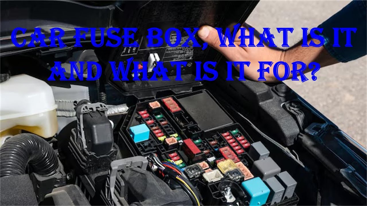 Car fuse box: What is it and what is it for?.