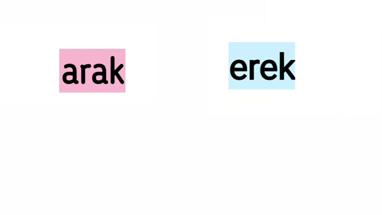 تعلم اللغة التركية: اللاحقة الفعلية arak - erek