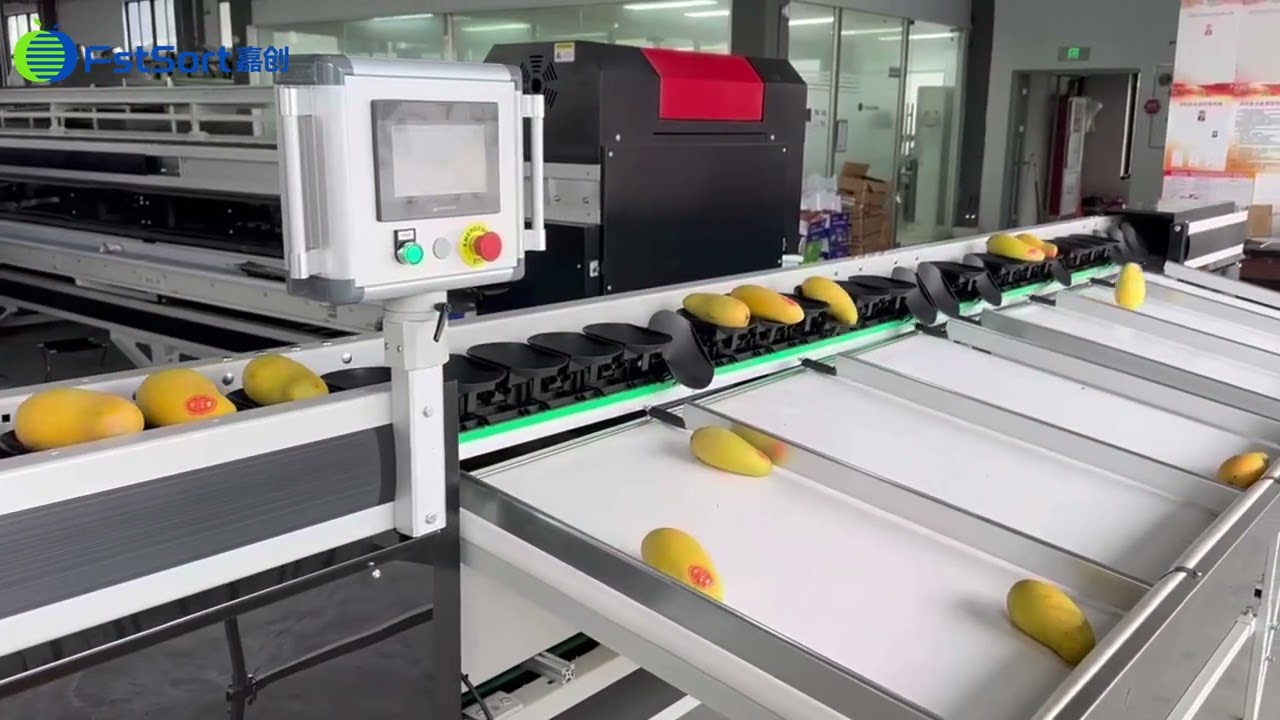 Fruit sorting grading machine,dragon fruit sorter ,mango weight grader,grapefruit calibrator