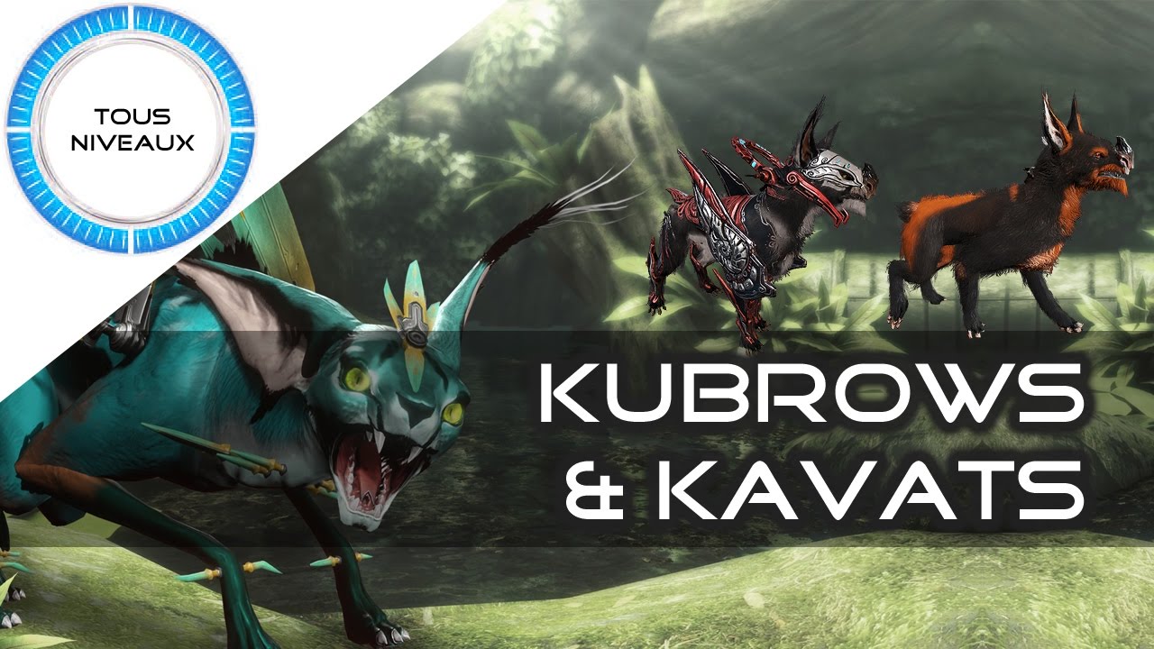 Kubrows & Kavats - Review complète - Warframe [FR]