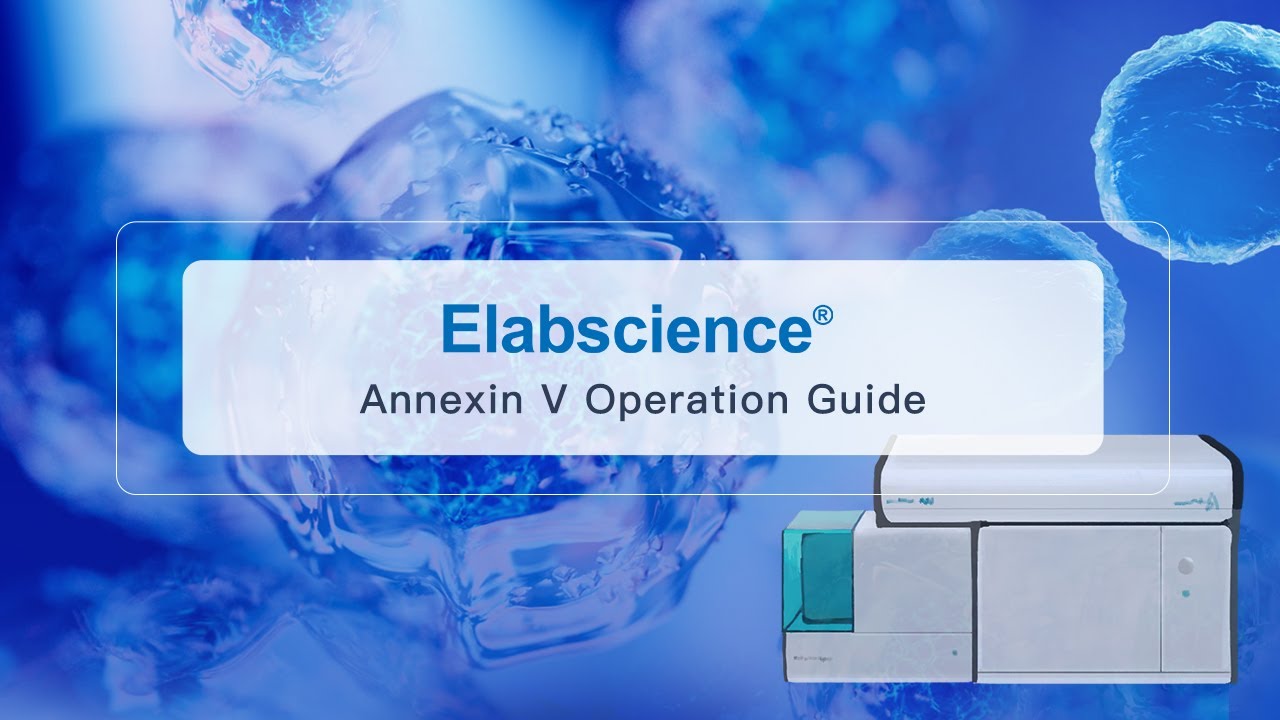 Annexin V Apoptosis Detection Kit Operation Guide