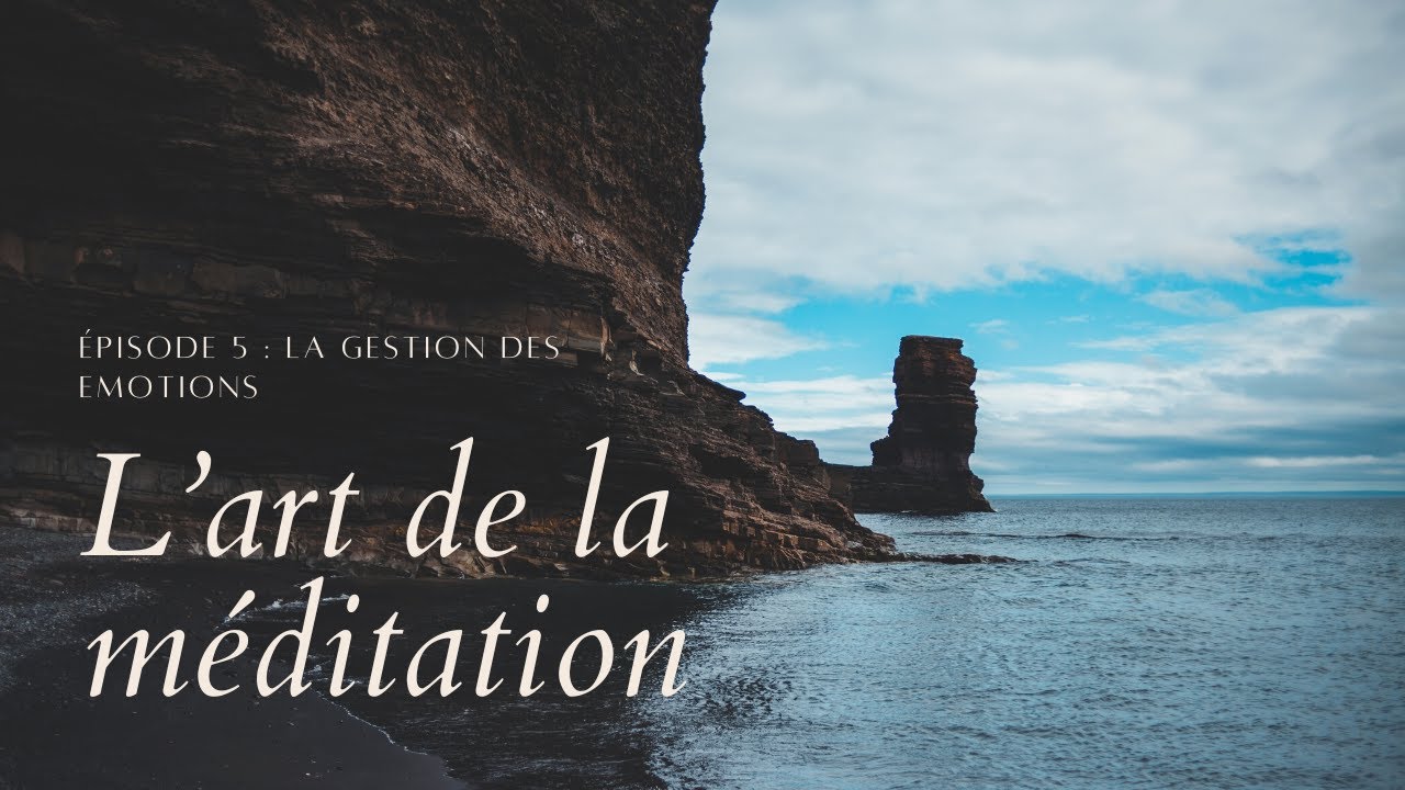 L'art de la méditation- épisode 5 - La gestion des émotions