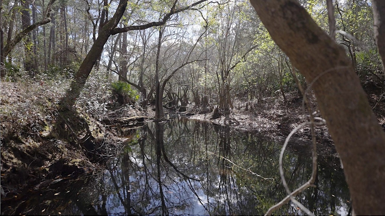 90 acre Retreat on Little Saint Marys River