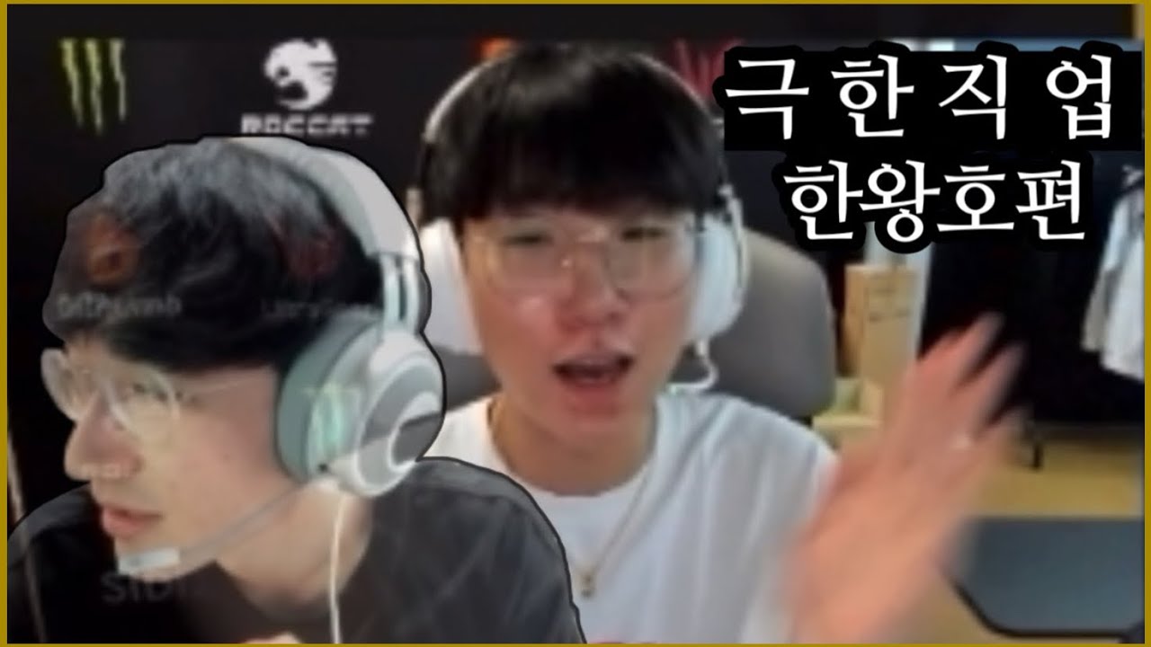 인스스썰 풀다가 갑자기 개싸우는 영상