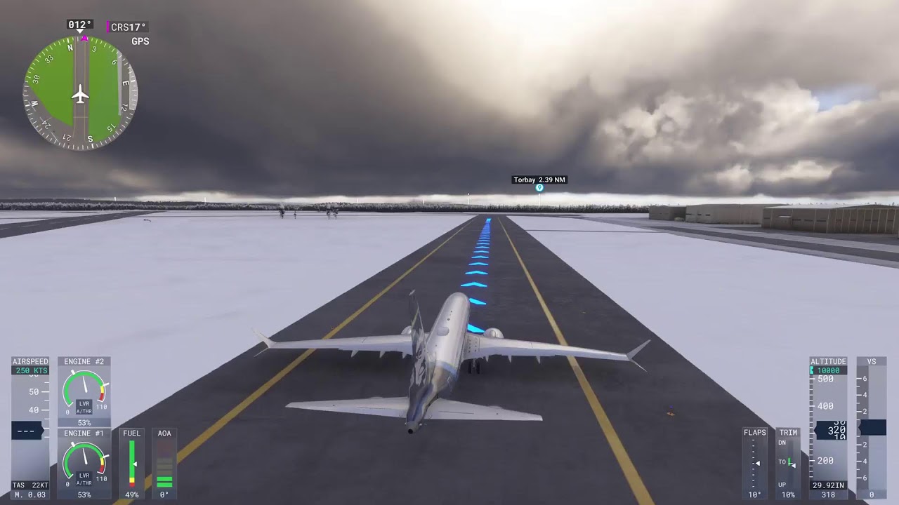 Microsoft Flight Sim PS5 Live Online