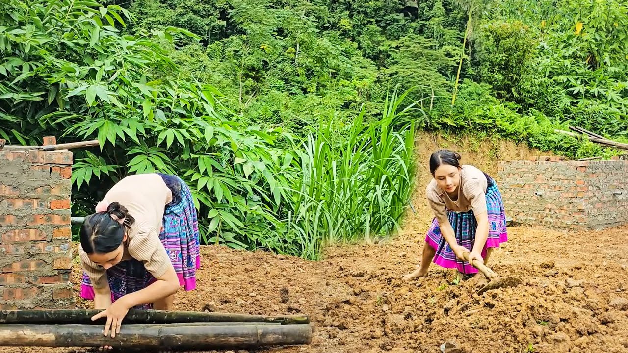 An 18-Year-Old Girl Is Surprised by a Rare Forest Flower That Changes Her Fate | Survival Story