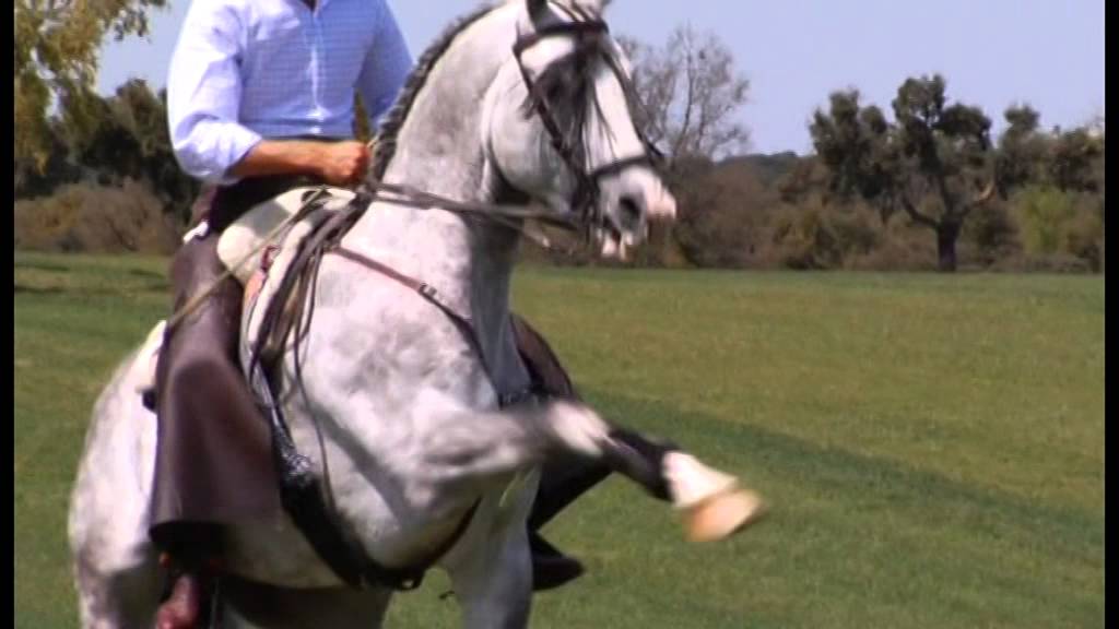 SERGIO GALÁN EN EL CAMPO 12 1 2014