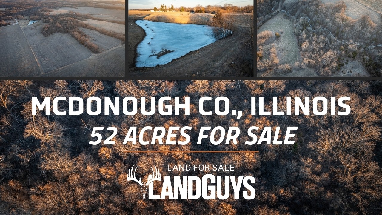 Некоторым объектам недвижимости выгодно местоположение. Другим — благоприятная среда обитания. В ...