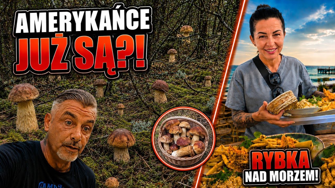 🍄 PRAWDZIWKI AMERYKAŃSKIE JUŻ SĄ?! 😱 Ruszyliśmy do lasu&hellip; a potem RYBKA NAD MORZEM! 🐟