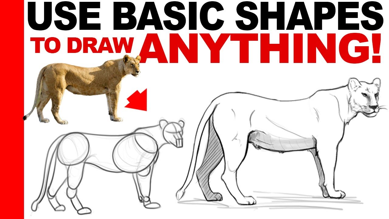 How to Draw ANYTHING In Basic and Dynamic Shapes (Full Lecture + Examples)