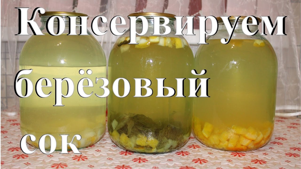 Консервируем березовый сок. Простой способ. Готовим дома.