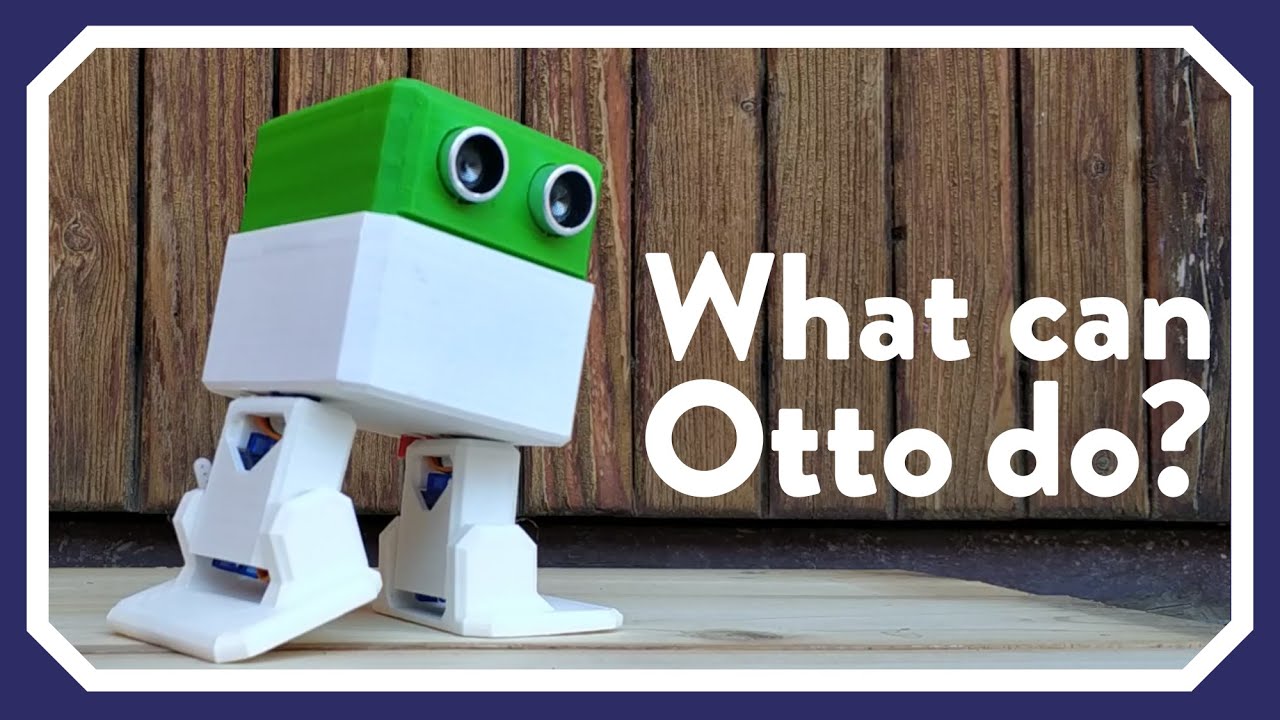 What can Otto DIY robot do?
