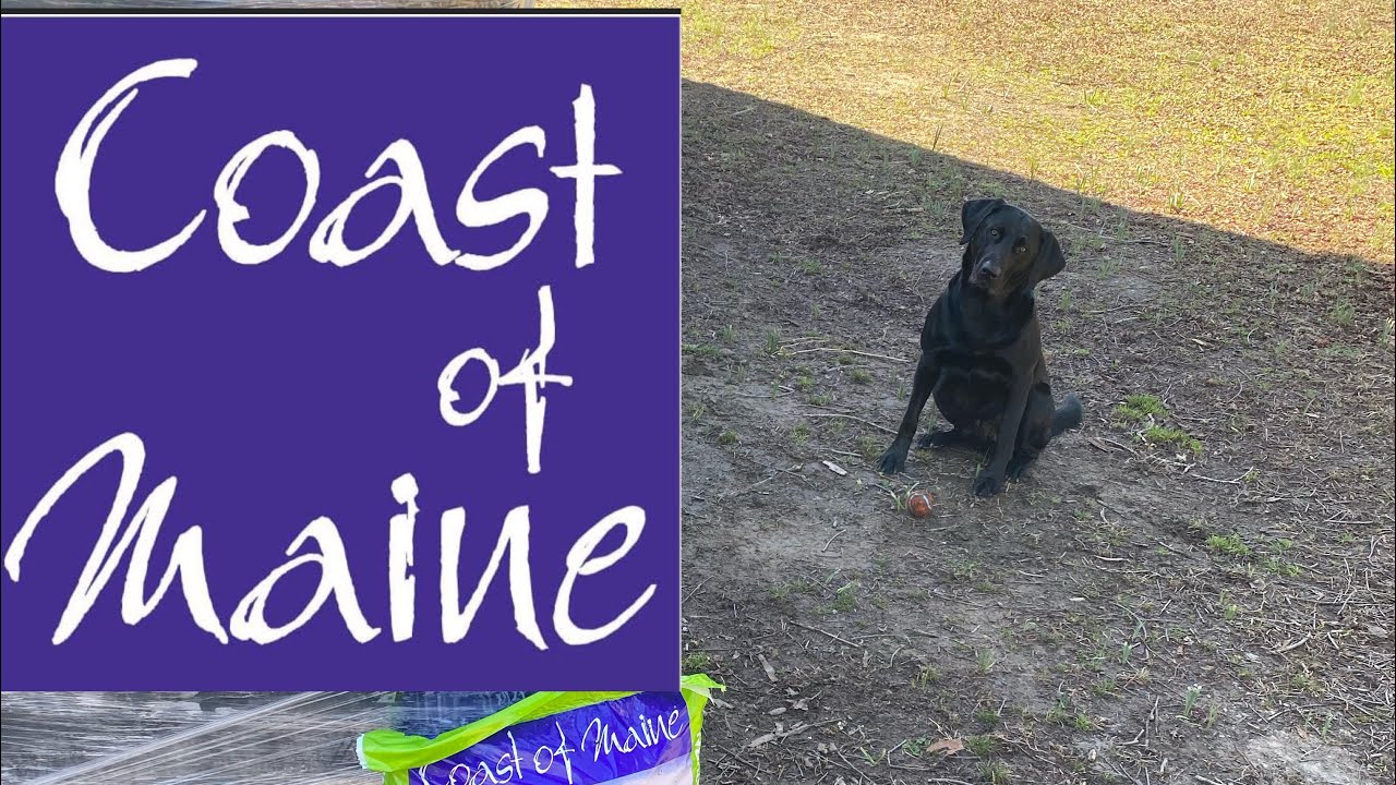 @Coastofmaine Delivers again! See what we will be using this season!