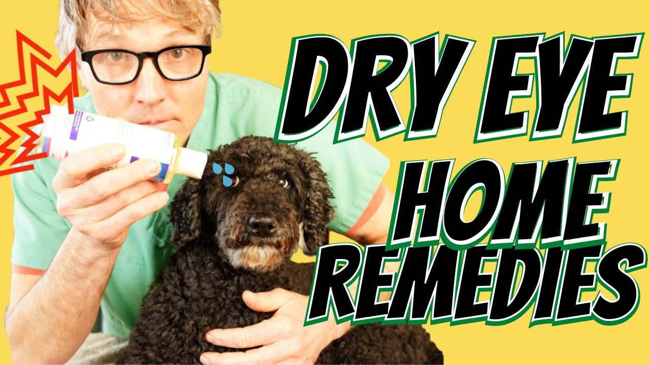 Dry Eye in Dogs? Dr. Jones' 3 Home Easy Natural Fixes You Gotta Try!