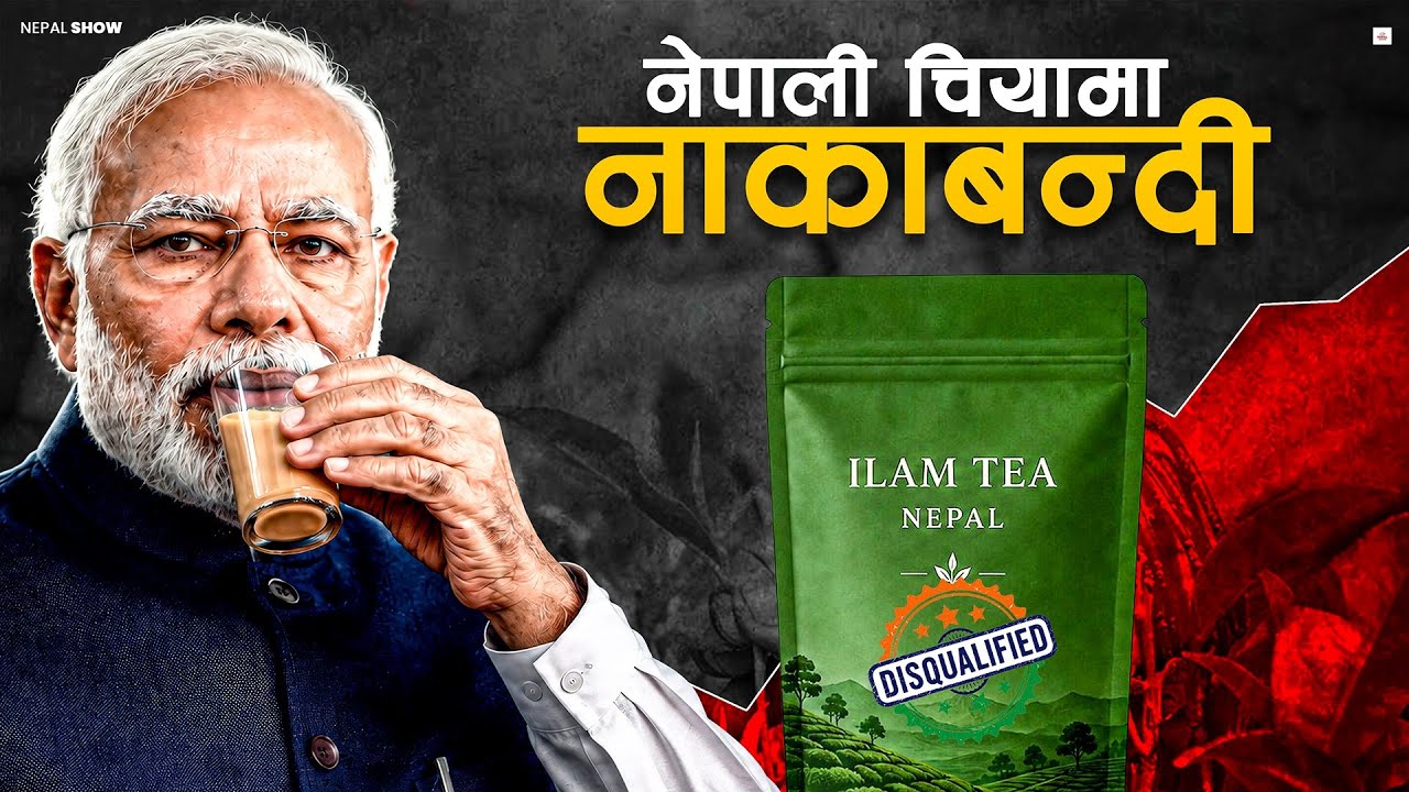 Ilam vs. Darjeeling Tea: Why Does India Keep Blocking It?
