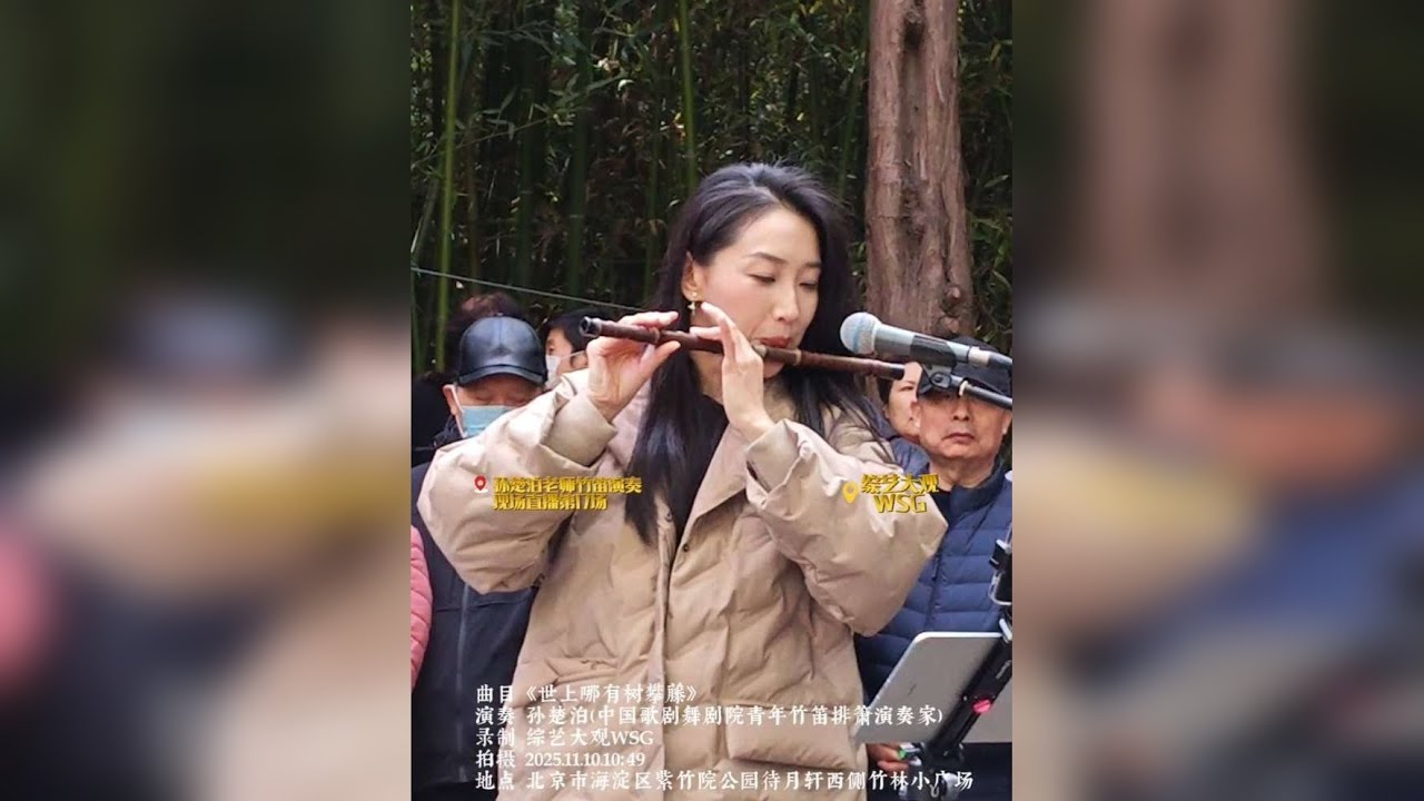 2025年11月10日上午待月轩，孙楚泊老师精彩演绎的《世上哪有树攀藤》，是一首经典的民歌，其表达以自然意象隐喻人与人之间平等相依的情感关系