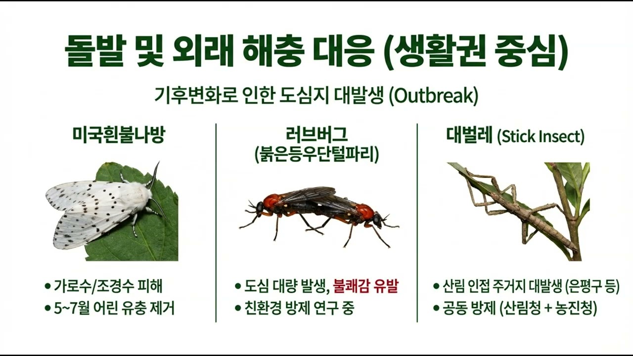 제11강 산림정책의 이해