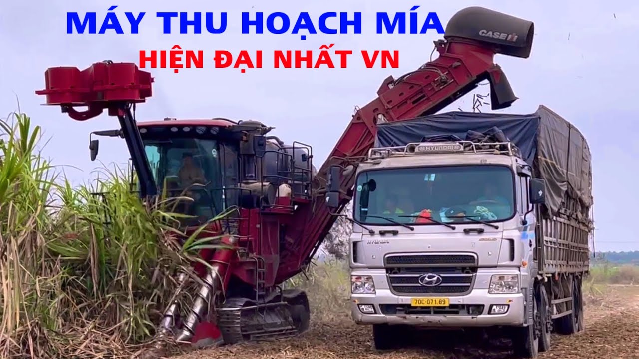 Máy thu hoạch mía đắt tiền và hiện đại nhất việt nam