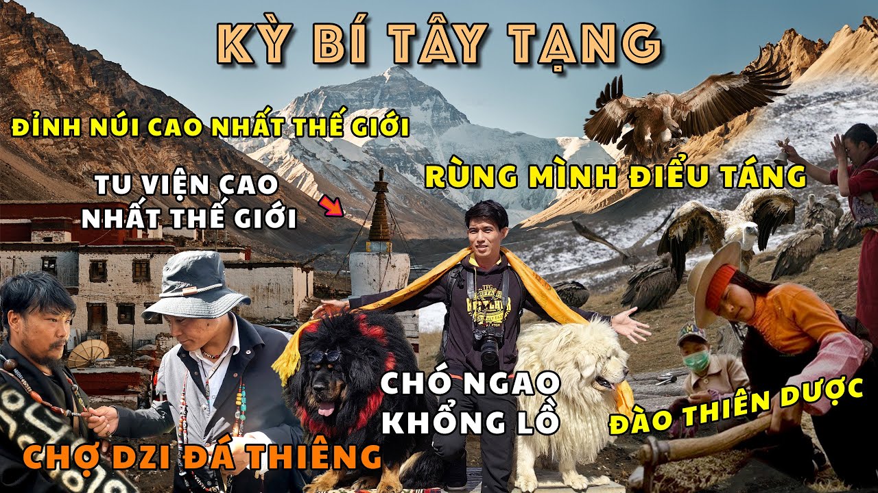 TÂY TẠNG THẬT SỰ THẦN BÍ - Chỉ Ở Đây Mới Có: THIÊN CHÂU| THIÊN DƯỢC| ĐIỂU TÁNG| NGAO YAK