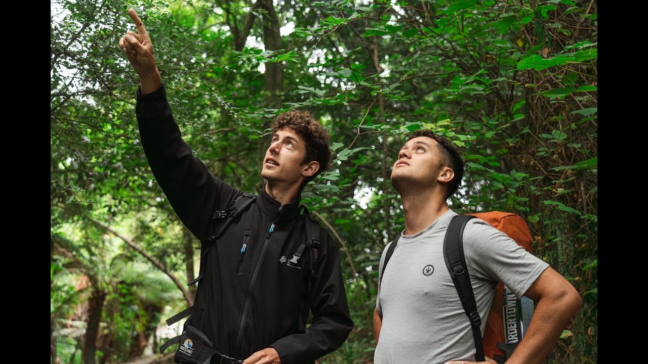 Study Forestry | University of Canterbury