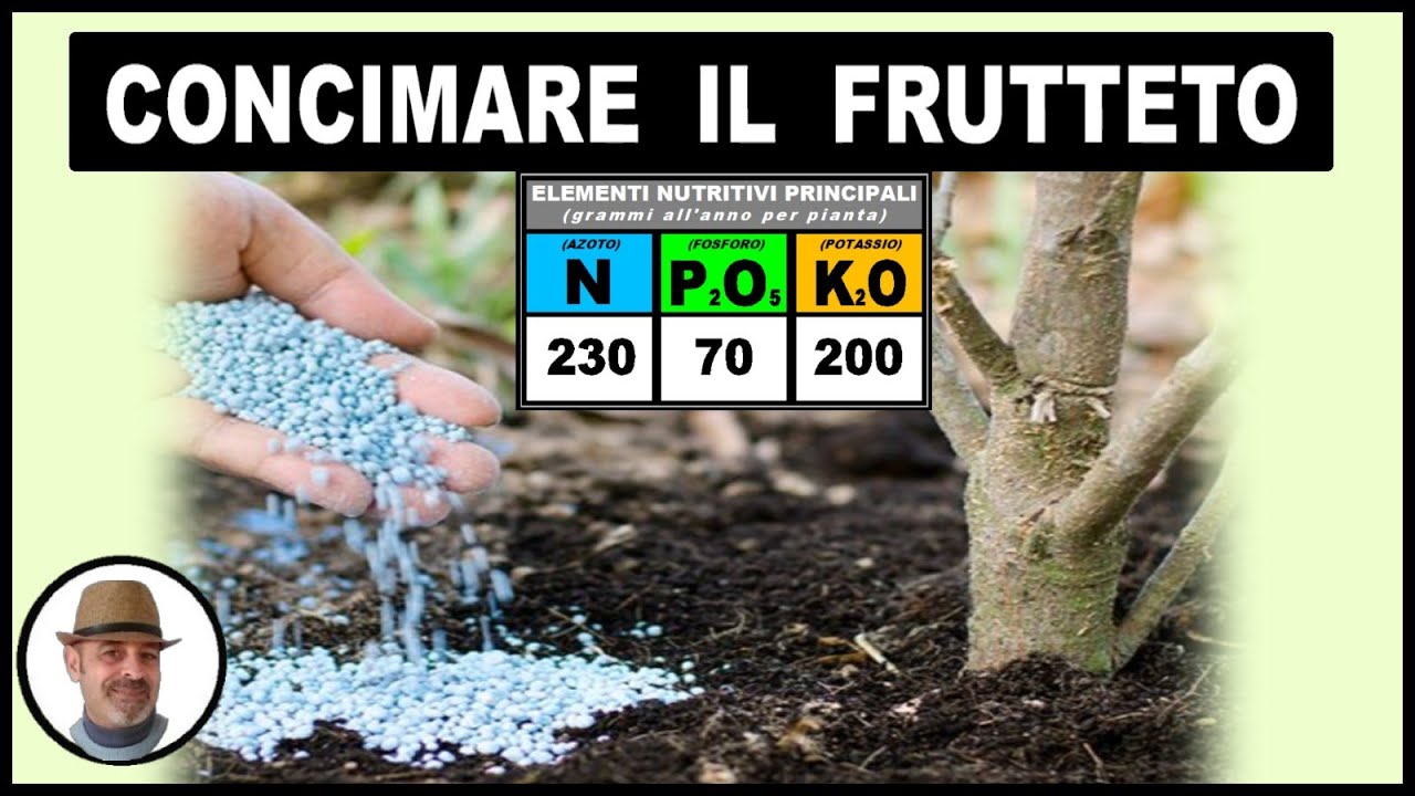 CONCIMARE IL FRUTTETO, tutte le piante