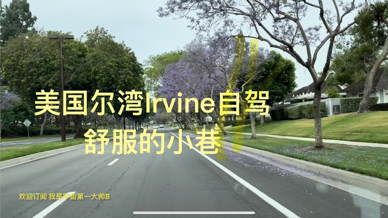 带你去旅行｜坐我副驾驶｜美国Irvine尔湾自驾，舒服的小巷