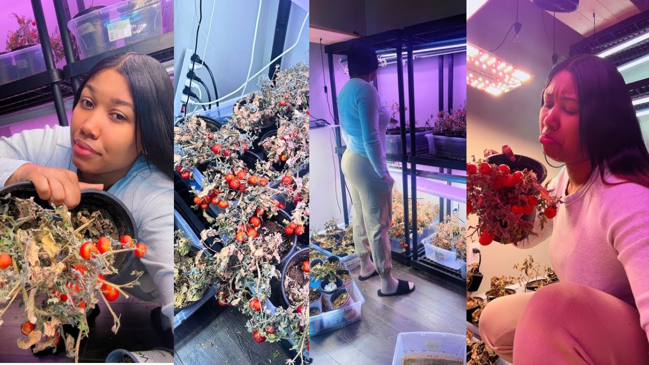 Estoy triste!😭💔Pero lo mejor es que puedo volver a empezar y en junio todo estará bien otra vez ❤️