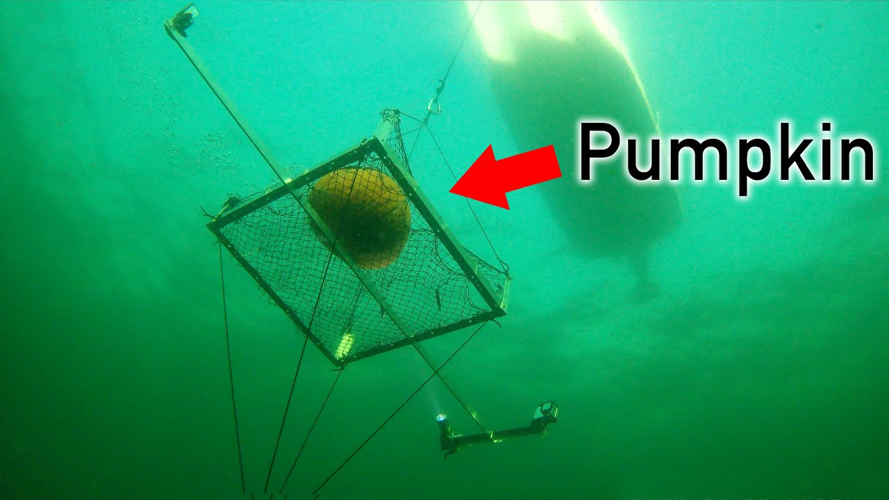 Pumpkin Implosion at 600ft Deep???