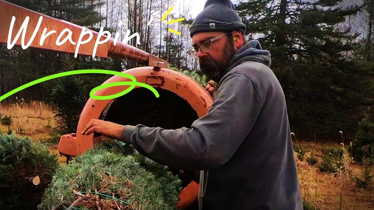 Just Baling and Stacking Trees.