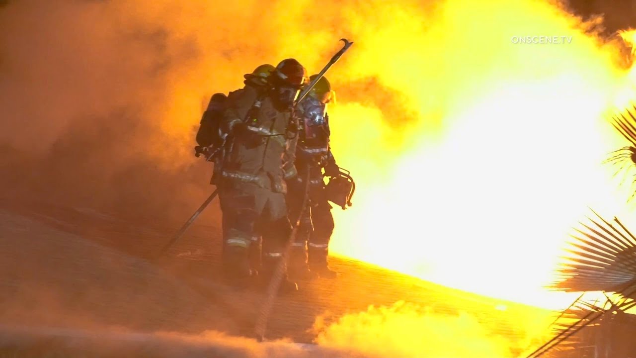 6 Dogs Saved From Animal Rescue Fire | Phoenix