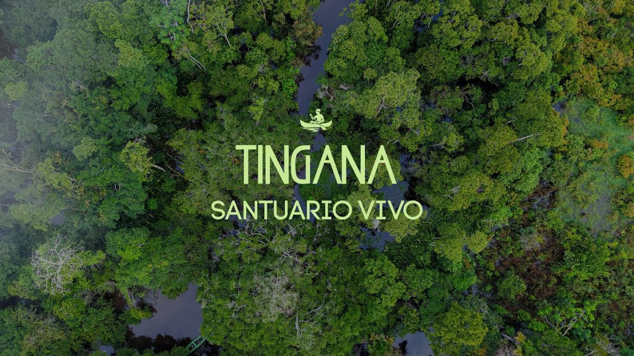 TINGANA: SANTUARIO VIVO