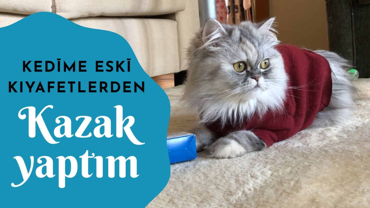 Kediler için kolayca kıyafet yapımı, kendin yap, DIY