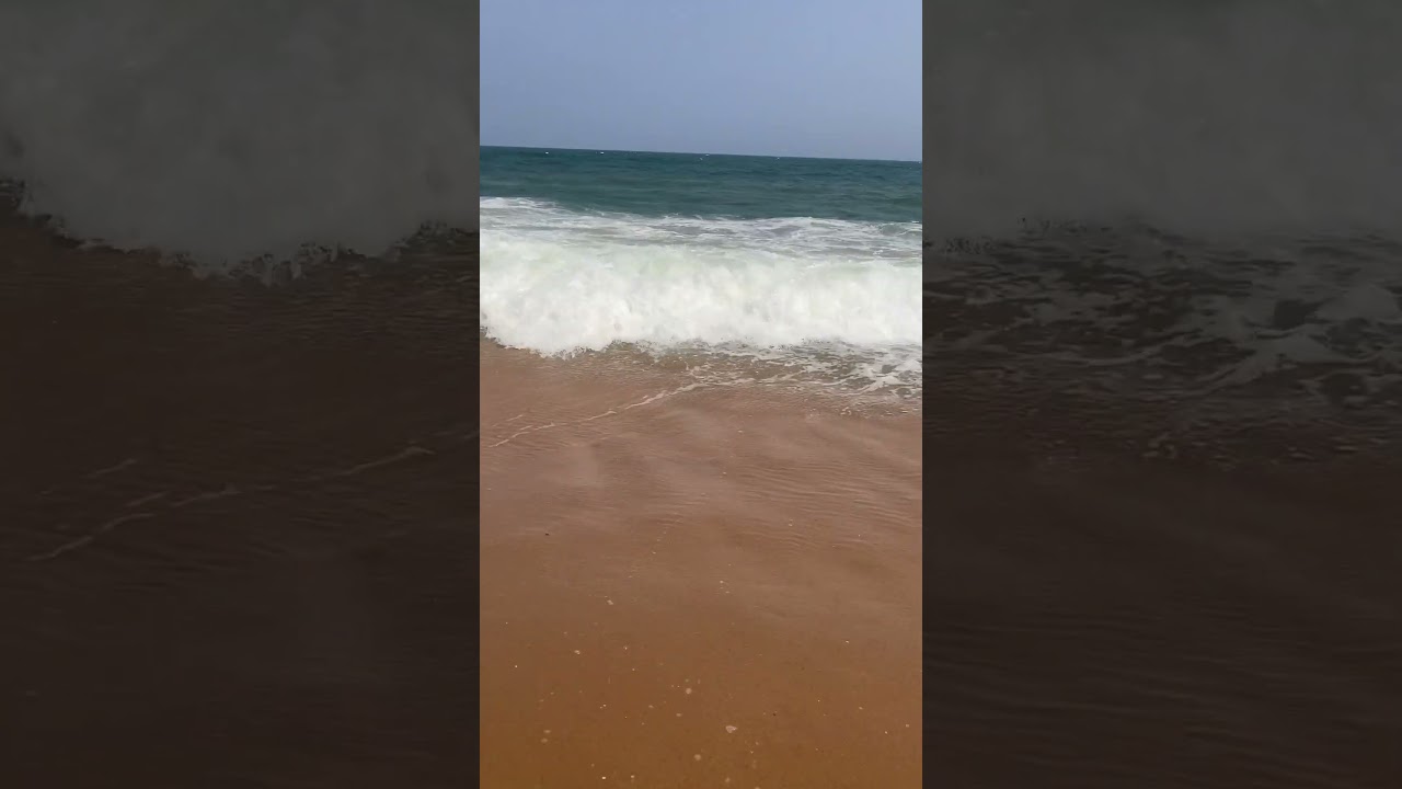 🏖️🏖️🏖️🏖️🏖️🏖️🏖️🏖️🏖️🏖️ 