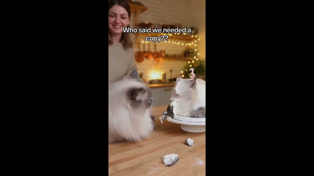 The Funniest Animal Chaos Moments 😂🔥 (Impossible Not to Laugh)