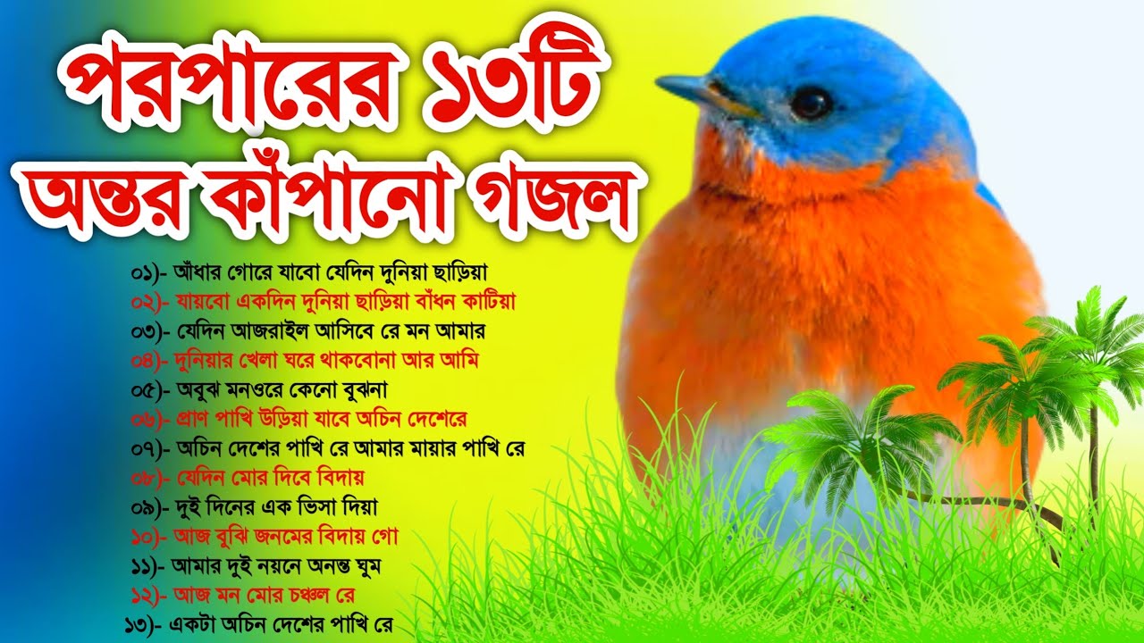 অন্তর কাঁপানো ১৩টি পরপারের গজল//যে গজল সুনলে অন্তর গলে মোমের মত হয়ে যায়//Your Favourite Top 13 Gojol