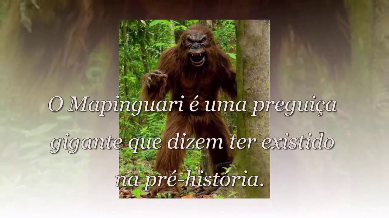 O MAPINGUARI - M&iacute;rian Warttusch