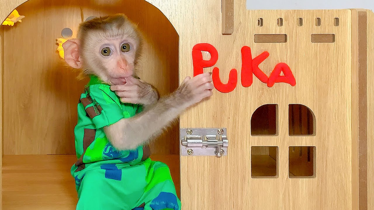Monkey Puka is very surprised with new house