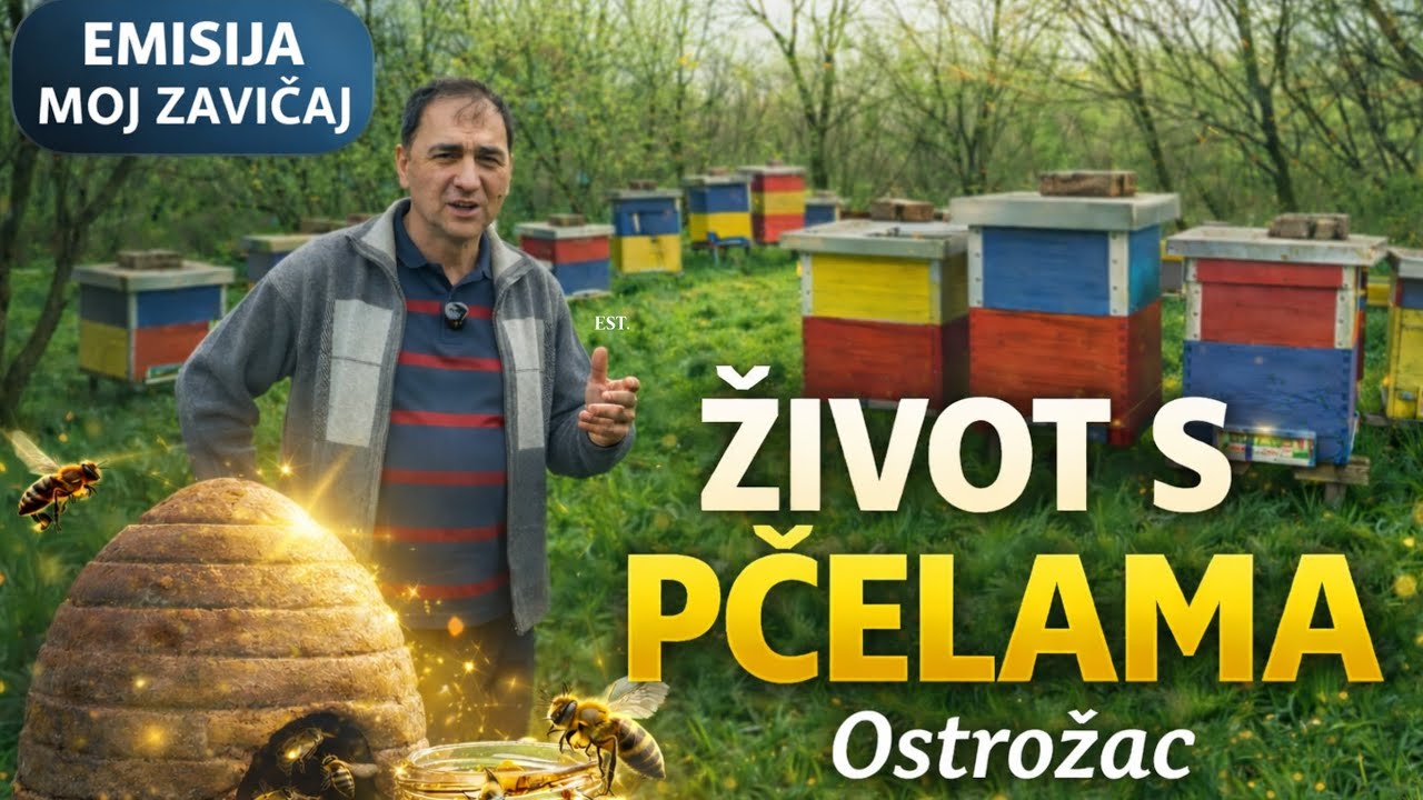 🐝 Moj zavičaj – Život pčelara Hasana Đuzelića u Ostrožcu 🍯 ✅