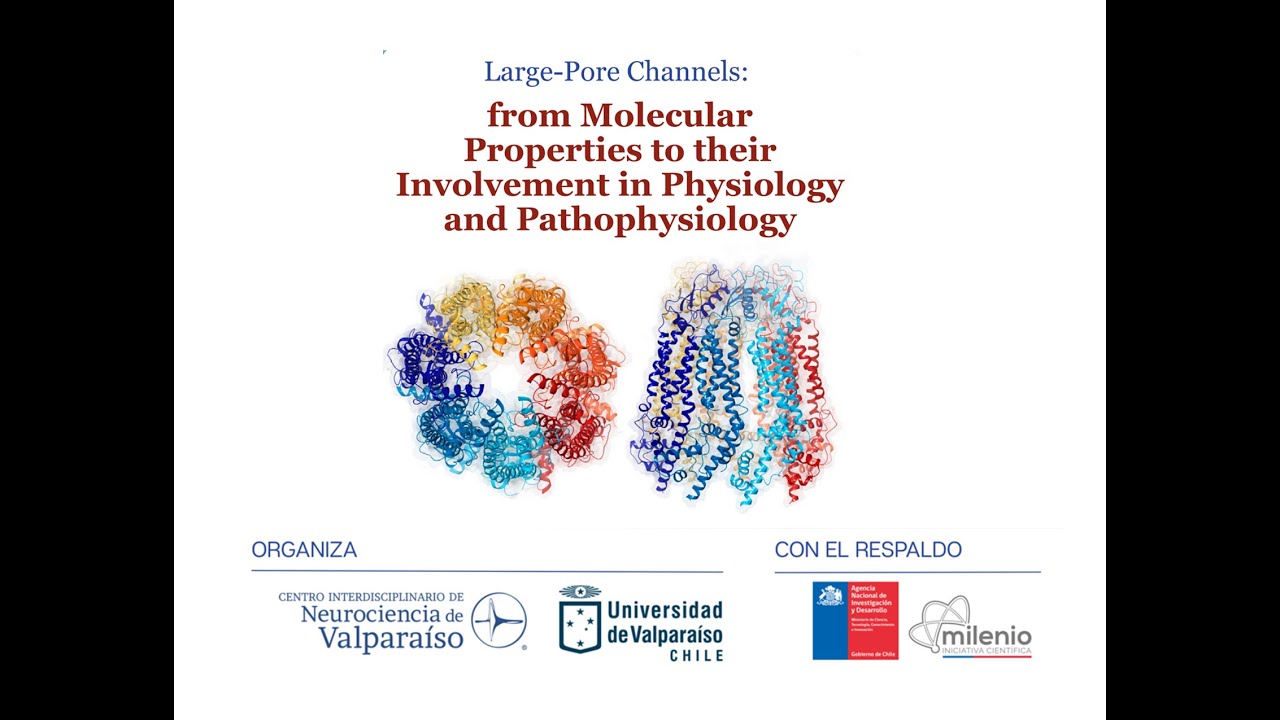 Exposición Dra. Ivanka Dinamarca - Simposio 