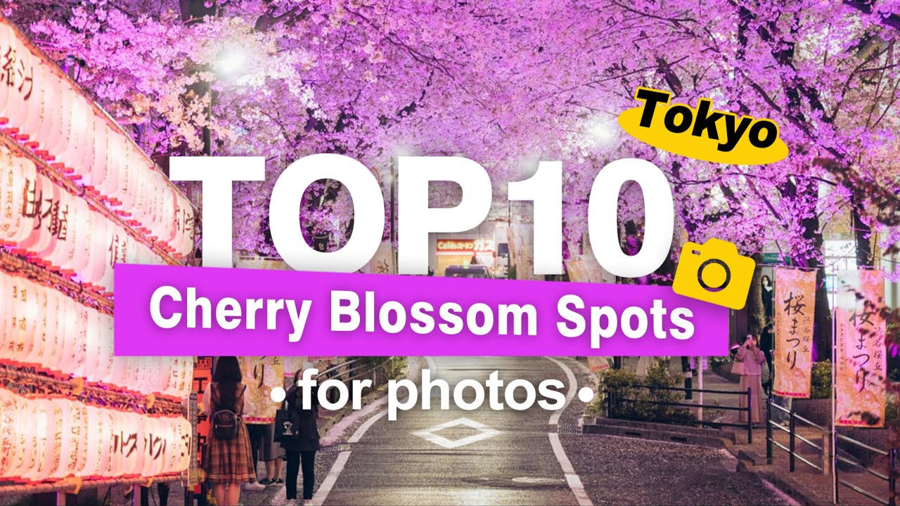 10 BEST Cherry Blossom Spots in Tokyo(for photos)Where to See Sakura in 2026