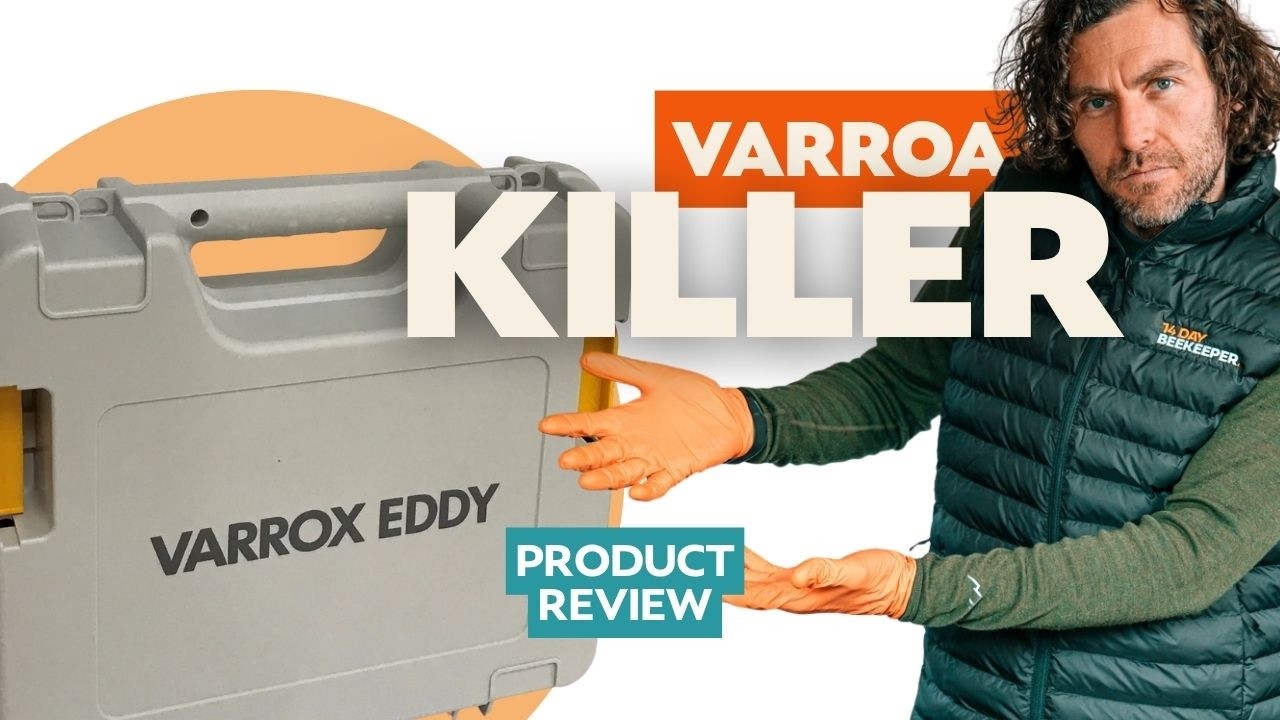 Varrox Eddy Review – How This Oxalic Acid Vaporiser Kills Varroa Fast