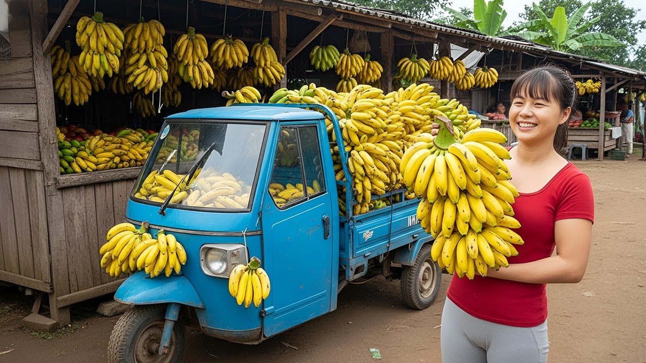 Gran Cosecha de Banana – Camión de 3 Ruedas Completamente Cargado Rumbo al Mercado Rural